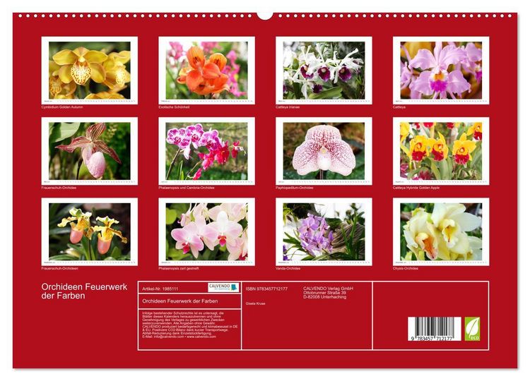 Produktbild: Orchideen Feuerwerk der Farben (hochwertiger Premium Wandkalender 2026 DIN A2 quer), Kunstdruck in Hochglanz