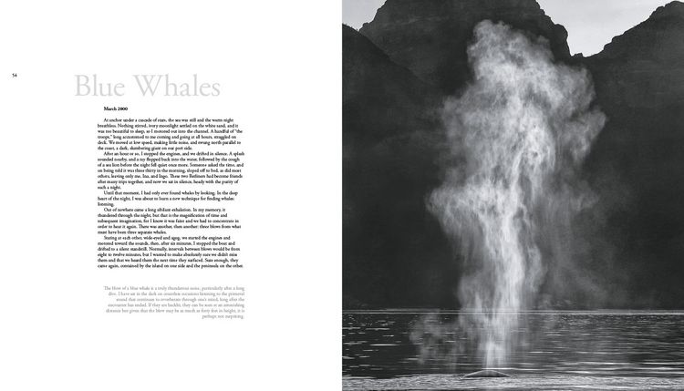 Produktbild: The Sea of Dreams