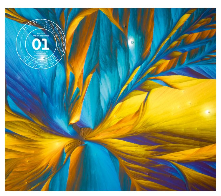 Produktbild: The Art of Science Kalender 2027 | Faszinierend-irisierende Mikroskopkunst