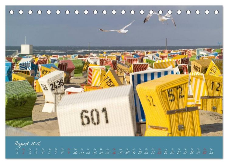 Produktbild: Strandk&ouml;rbe &ndash; bunte Vielfalt an der Nordsee (Tischkalender 2026 DIN A5 quer), CALVENDO Monatskalender