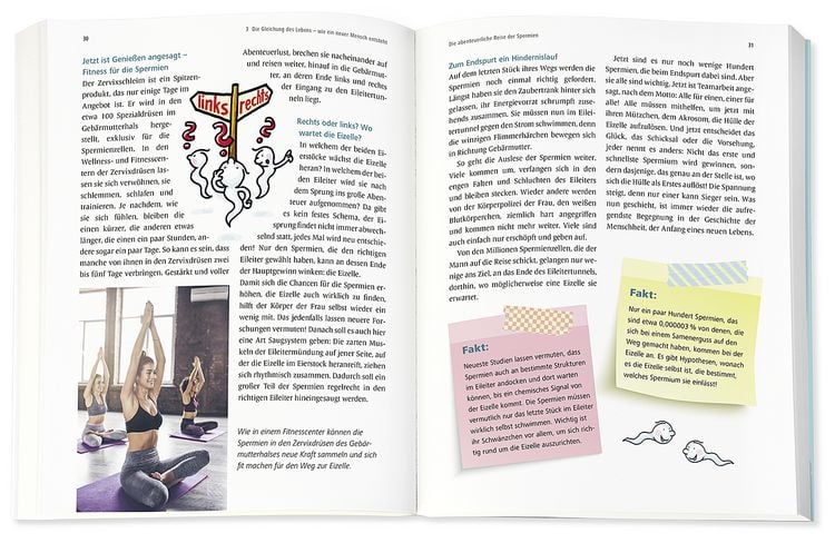 Produktbild: Was ist los in meinem K&ouml;rper?