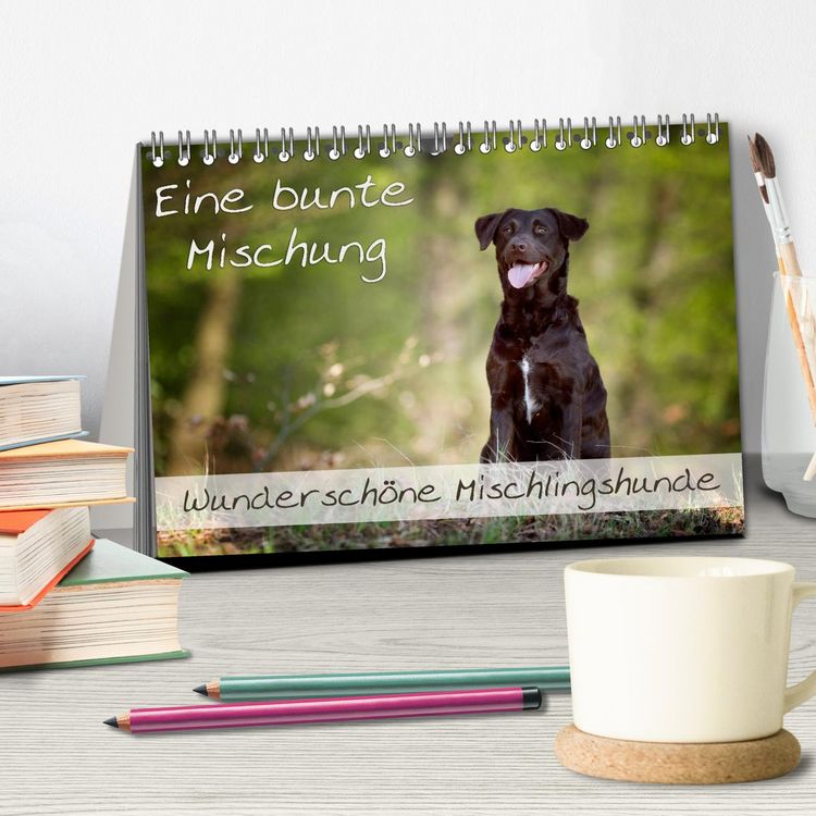 Produktbild: Eine bunte Mischung - wundersch&ouml;ne Mischlingshunde / Geburtstagskalender (Tischkalender 2026 DIN A5 quer), CALVENDO Monatskalender