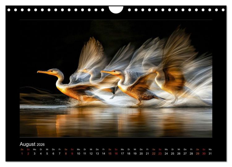 Produktbild: Momente voller Magie (Wandkalender 2026 DIN A4 quer), CALVENDO Monatskalender