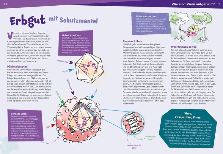 Produktbild: WAS IST WAS Naturwissenschaften easy! Biologie. Die Viren und wir