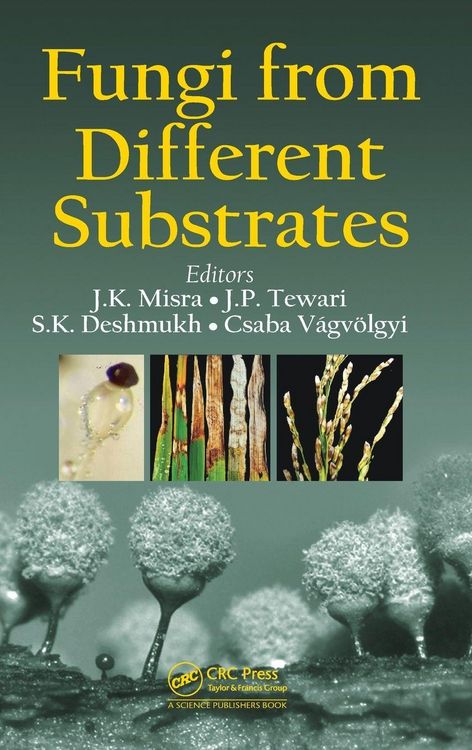 Produktbild: Fungi From Different Substrates