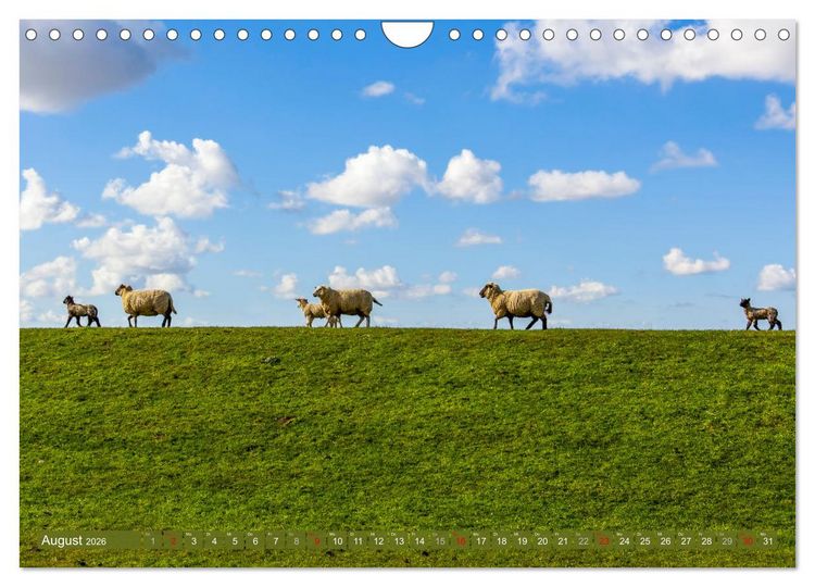 Produktbild: Moin Moormerland (Wandkalender 2026 DIN A4 quer), CALVENDO Monatskalender