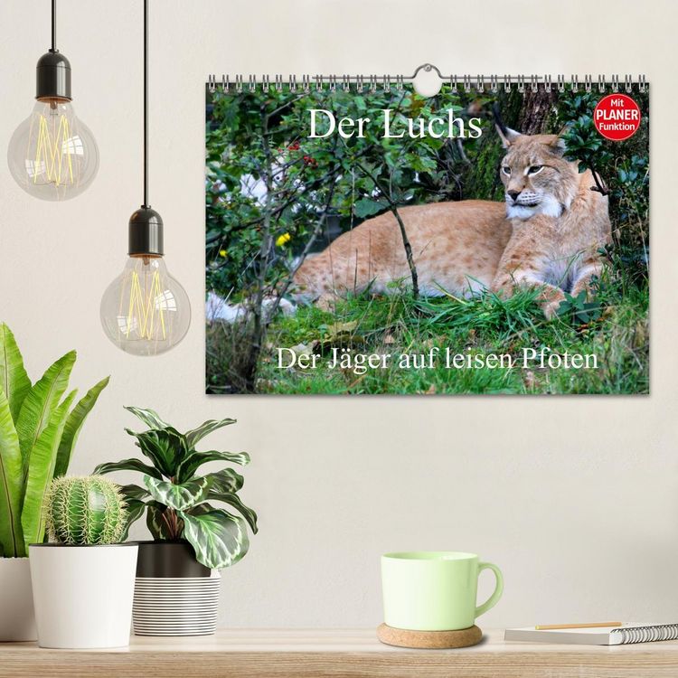 Produktbild: Der Luchs - Der J&auml;ger auf leisen Pfoten (Wandkalender 2026 DIN A4 quer), CALVENDO Monatskalender