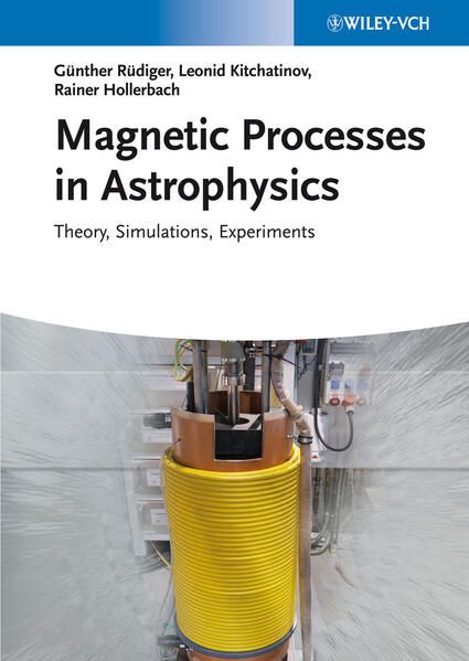 Produktbild: Magnetic Processes in Astrophysics