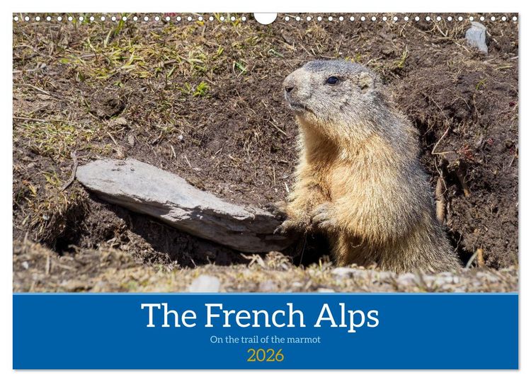 Produktbild: The French Alps, on the trail of the marmot (Wall Calendar 2026 DIN A3 landscape), CALVENDO 12 Month Wall Calendar
