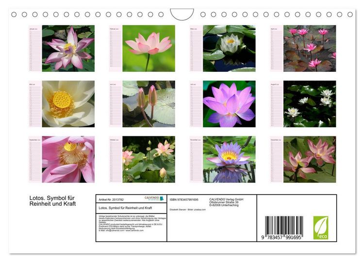 Produktbild: Lotos. Symbol f&uuml;r Reinheit und Kraft (Wandkalender 2026 DIN A4 quer), CALVENDO Monatskalender