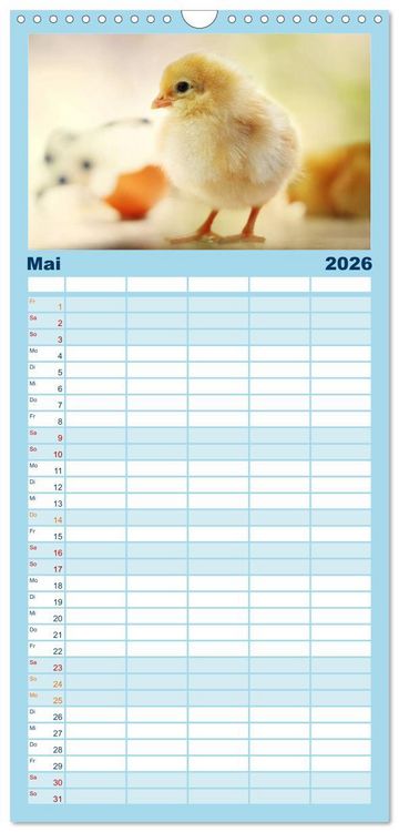 Produktbild: Familienplaner 2026 - K&uuml;ken in der Kinderstube mit 5 Spalten (Wandkalender, 21 x 45 cm) CALVENDO