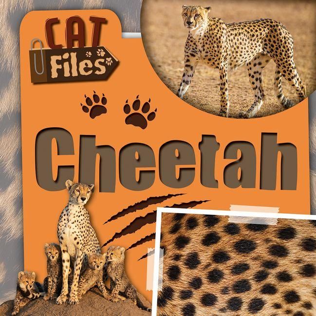 Produktbild: Cheetah
