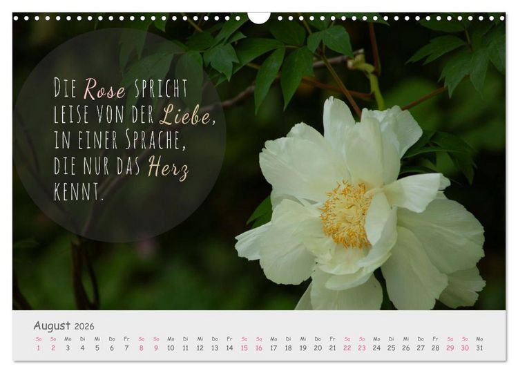 Produktbild: Sanfte Bl&uuml;ten &ndash; leise Worte (Wandkalender 2026 DIN A3 quer), CALVENDO Monatskalender