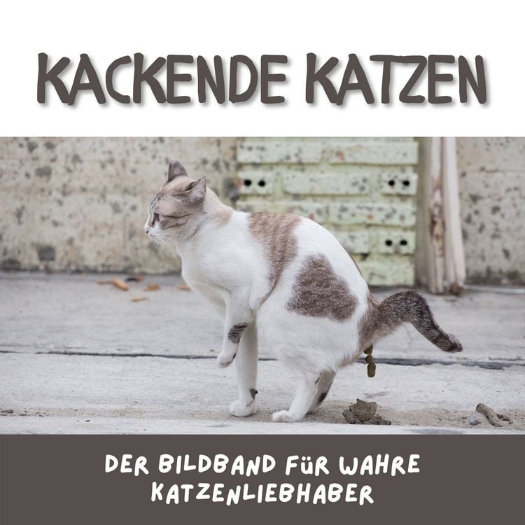 Produktbild: Kackende Katzen