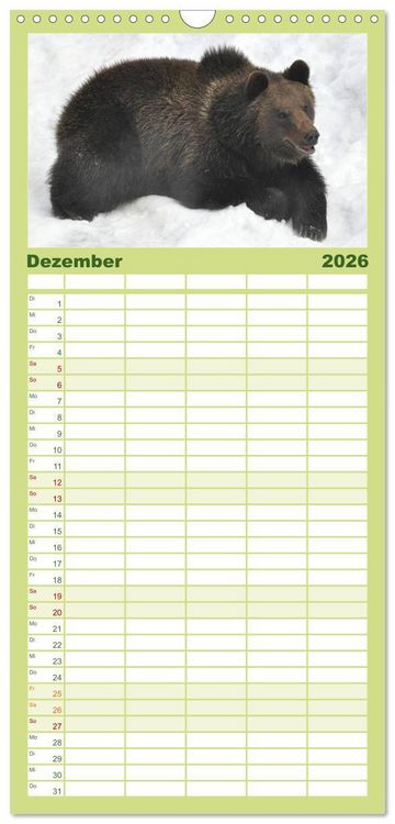 Produktbild: Familienplaner 2026 - Begegnungen DER BRAUNB&Auml;R mit 5 Spalten (Wandkalender, 21 x 45 cm) CALVENDO