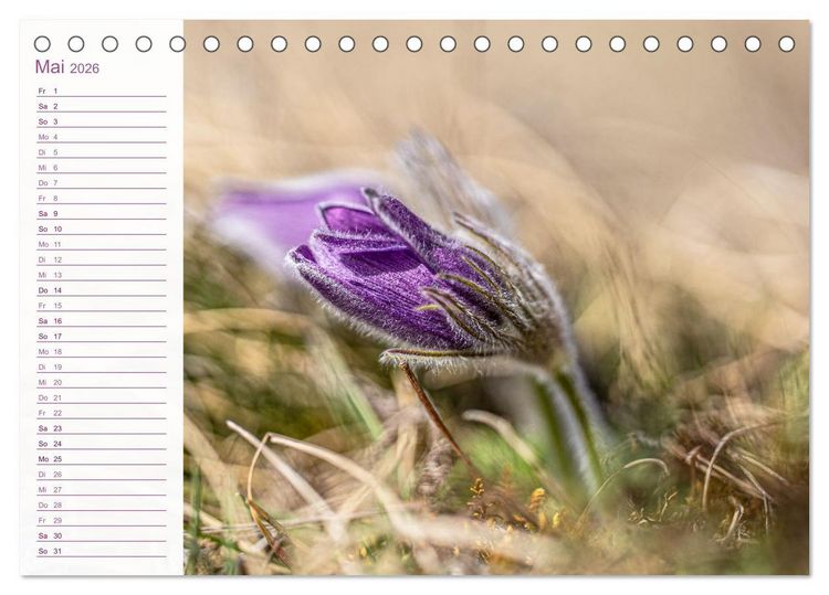 Produktbild: Wenn im Fr&uuml;hling die Natur wieder erwacht (Tischkalender 2026 DIN A5 quer), CALVENDO Monatskalender