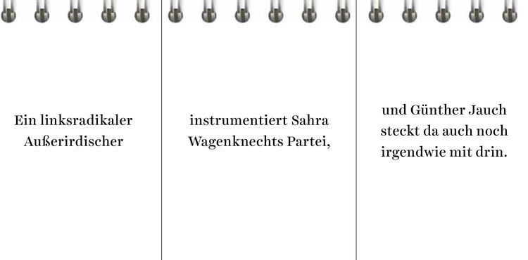 Produktbild: Der Desinformator