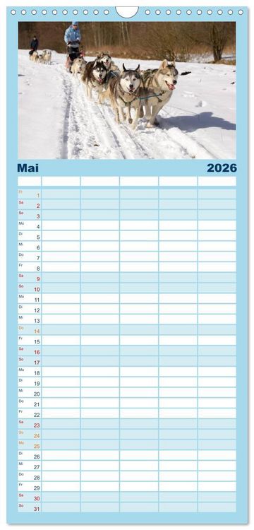 Produktbild: Familienplaner 2026 - Huskies! mit 5 Spalten (Wandkalender, 21 x 45 cm) CALVENDO