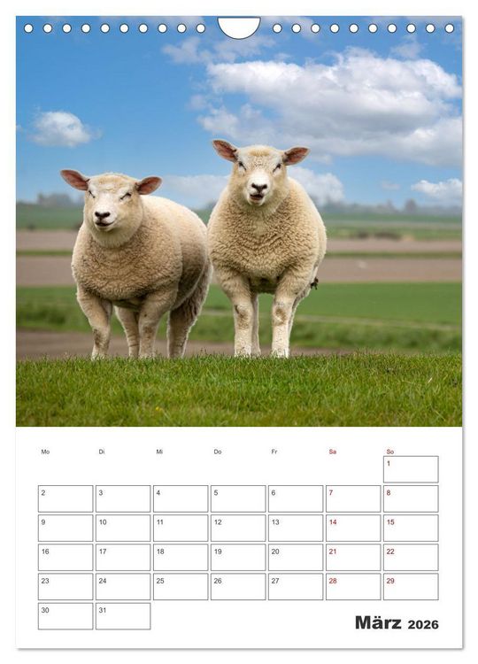 Produktbild: Sankt Peter-Ording Sonne, Strand und Meer (Wandkalender 2026 DIN A4 hoch), CALVENDO Monatskalender
