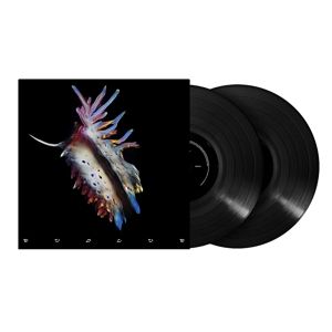 Produktbild: Evolve (2LP)