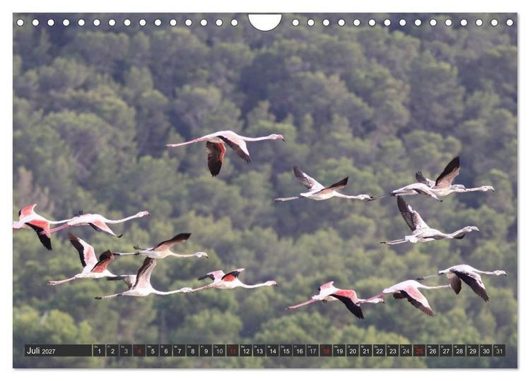 Produktbild: Ibiza - Balearen (Wandkalender 2027 DIN A4 quer), CALVENDO Monatskalender