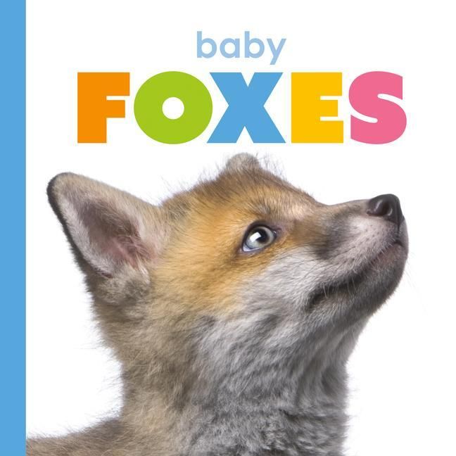 Produktbild: Baby Foxes