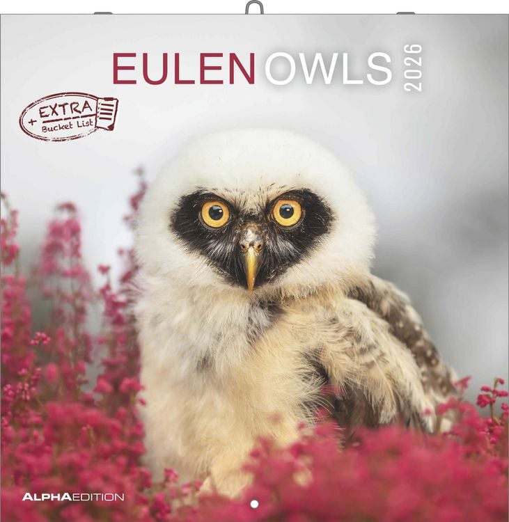 Bild vom Artikel Alpha Edition - Eulen 2026 Broschürenkalender, 30x30cm, Wandkalender mit Platz für Notizen und Termine, beeindruckende Eulen-Motive, Monatsübersicht u vom Autor Alpha Edition