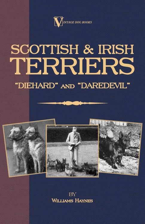 Produktbild: Scottish Terriers and Irish Terriers - Scottie Diehard and Irish Daredevil (a Vintage Dog Books Breed Classic)
