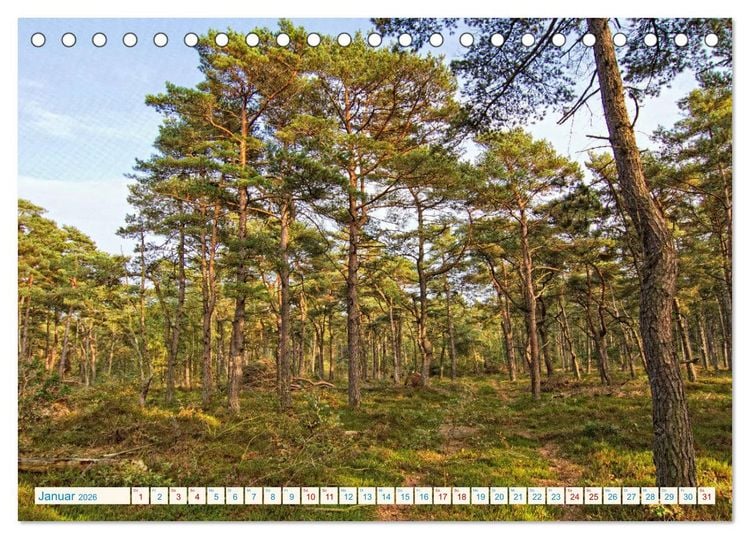 Produktbild: Cuxhaven, Landschaften zwischen K&uuml;ste und Heide (Tischkalender 2026 DIN A5 quer), CALVENDO Monatskalender