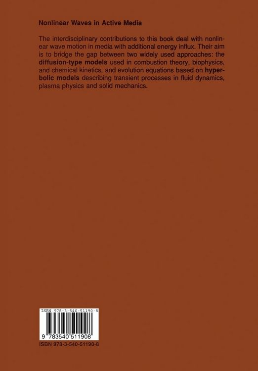 Produktbild: Nonlinear Waves in Active Media