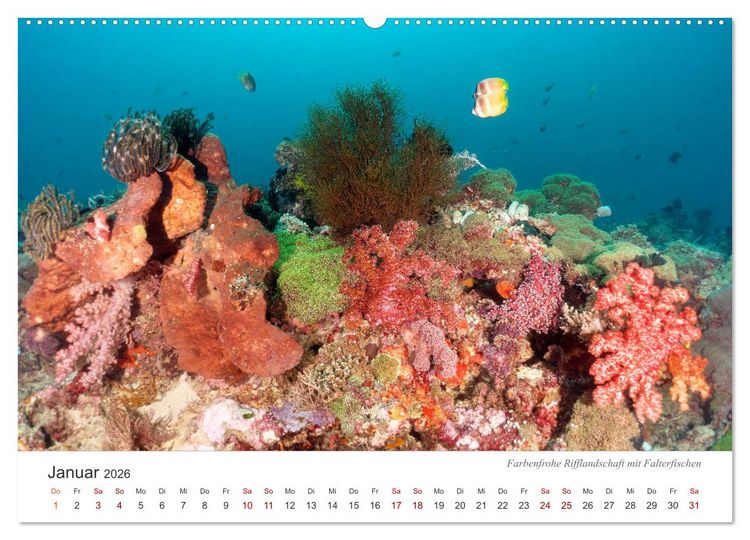 Produktbild: Unterwasser - eine bunte Welt (Wandkalender 2026 DIN A2 quer), CALVENDO Monatskalender