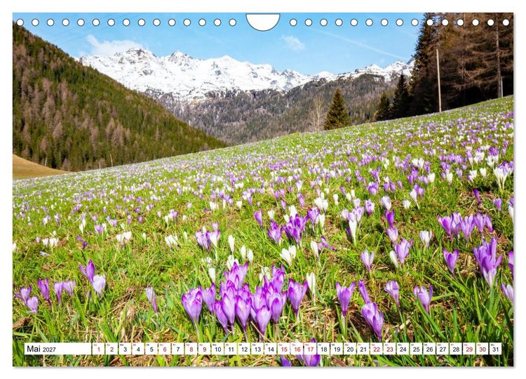 Produktbild: S&uuml;dtirol, das Ultental Traumhafte Landschaften (Wandkalender 2027 DIN A4 quer), CALVENDO Monatskalender