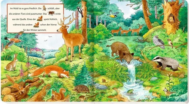 Produktbild: Meine ersten Wimmelbilder