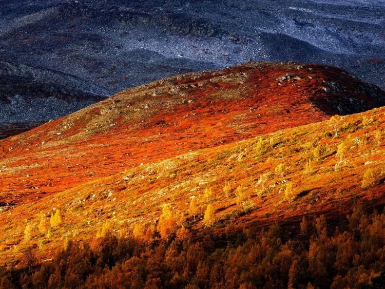Produktbild: CALVENDO Puzzle Indian Summer in Gasbu, Norwegen | 1000 Teile Lege-Gr&ouml;&szlig;e 64x48cm Foto-Puzzle f&uuml;r gl&uuml;ckliche Stunden