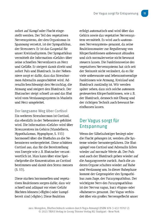 Produktbild: Bluthochdruck senken durch Yoga-Atmung