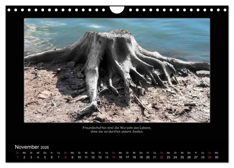 Produktbild: Freundschaft (Wandkalender 2026 DIN A4 quer), CALVENDO Monatskalender