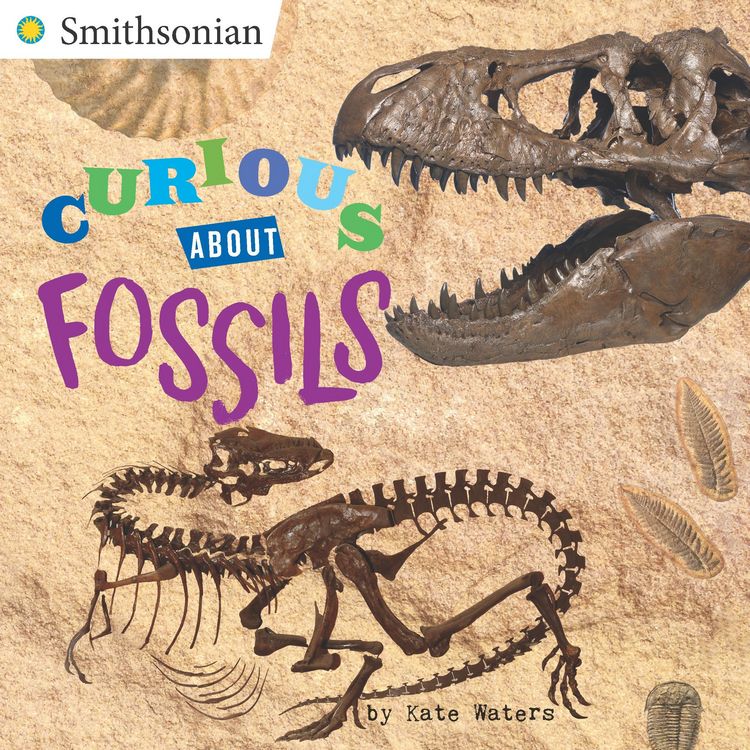 Produktbild: Curious About Fossils