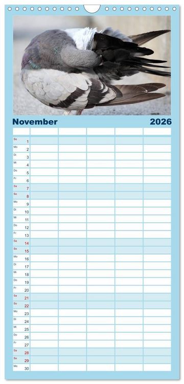 Produktbild: Familienplaner 2026 - Geliebte Tauben mit 5 Spalten (Wandkalender, 21 x 45 cm) CALVENDO