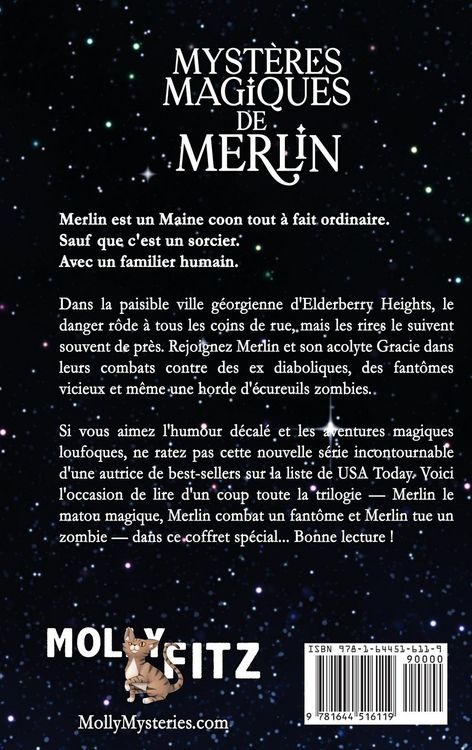 Produktbild: Myst&egrave;res Magiques de Merlin