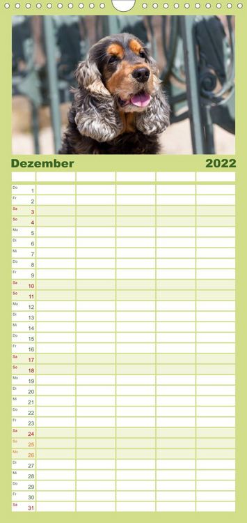 Produktbild: Familienplaner English Cocker Spaniel - Fr&ouml;hliche Gesellen (Wandkalender 2022 , 21 cm x 45 cm, hoch)
