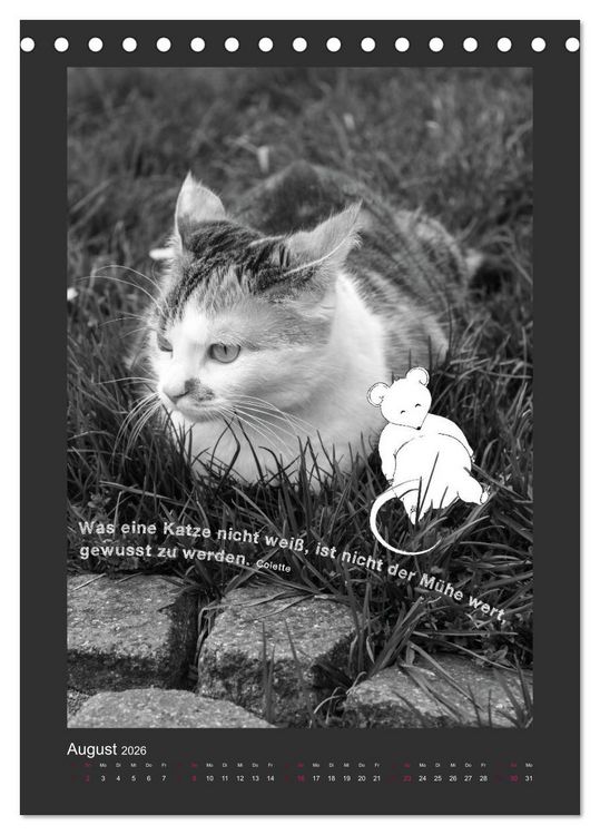Produktbild: Katz & Maus (Tischkalender 2026 DIN A5 hoch), CALVENDO Monatskalender