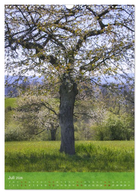 Produktbild: Klimaretter Baum (Wandkalender 2026 DIN A3 hoch), CALVENDO Monatskalender