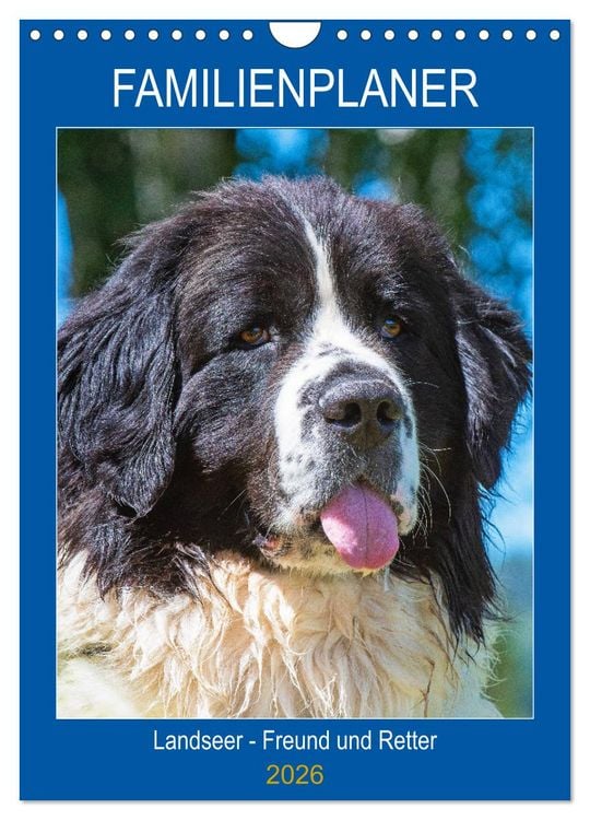 Produktbild: Familienplaner Landseer - Freund und Retter (Wandkalender 2026 DIN A4 hoch), CALVENDO Monatskalender