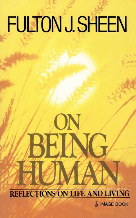 Produktbild: On Being Human