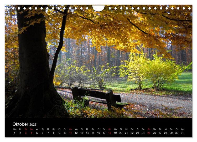 Produktbild: Wege 2026 (Wandkalender 2026 DIN A4 quer), CALVENDO Monatskalender