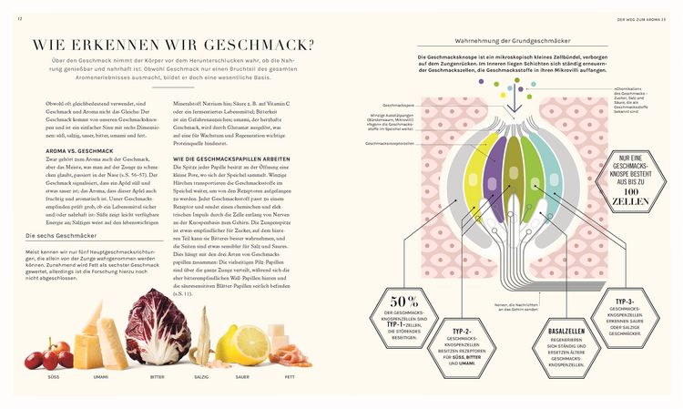 Produktbild: So funktioniert Geschmack
