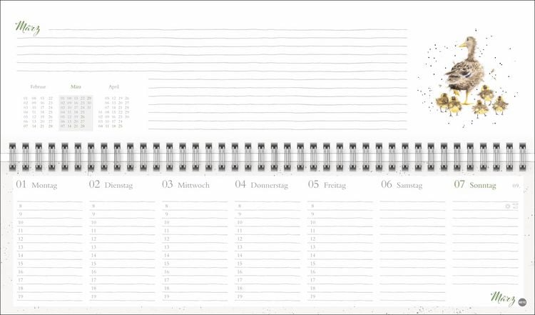 Produktbild: Hannah Dale : Wochenquerplaner 2027