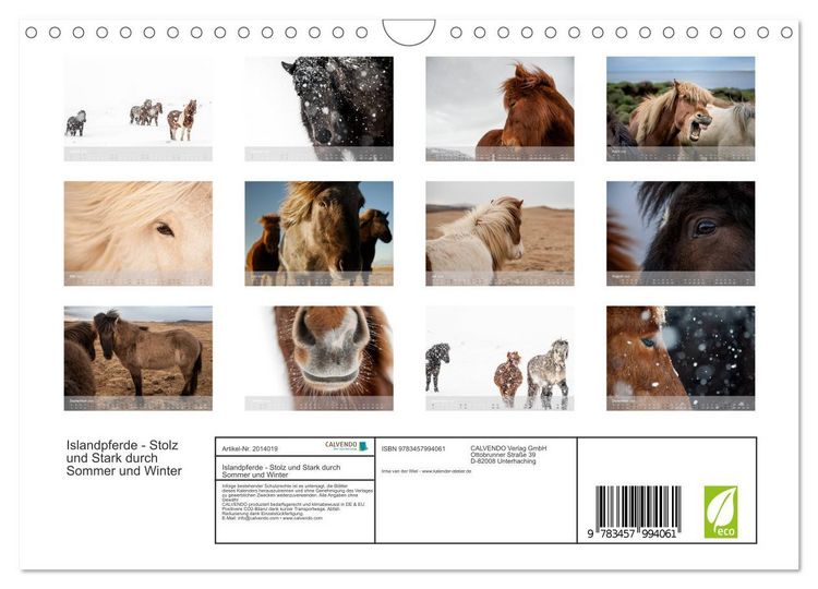 Produktbild: Islandpferde - Stolz und Stark durch Sommer und Winter (Wandkalender 2026 DIN A4 quer), CALVENDO Monatskalender