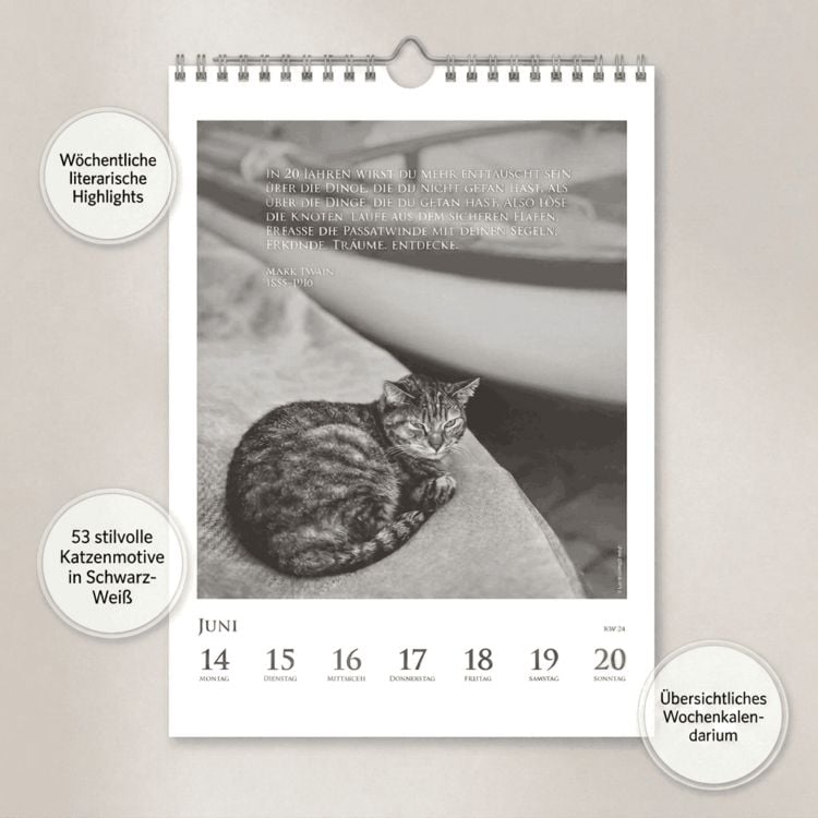 Produktbild: DUMONTS Katzenkalender 2027