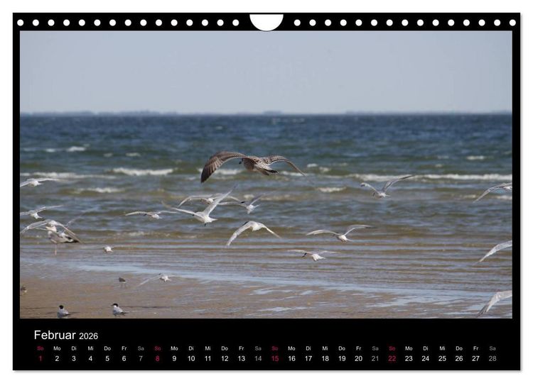 Produktbild: Texel, eine Perle Hollands (Wandkalender 2026 DIN A4 quer), CALVENDO Monatskalender